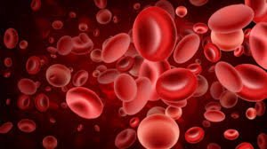 Department of Hematology